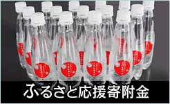 ふるさと応援寄附金