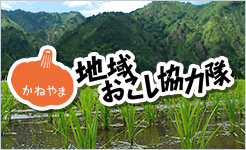 地域おこし協力隊