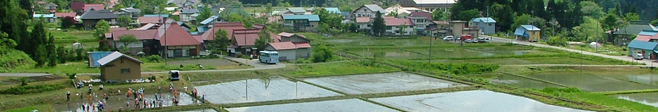 田植えの様子写真