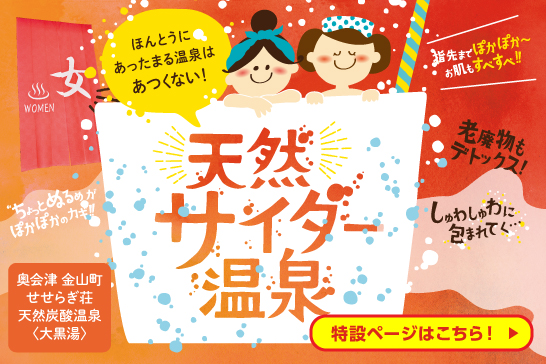 天然サイダー温泉のPR画像