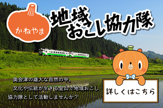 地域おこし協力隊の案内の画像