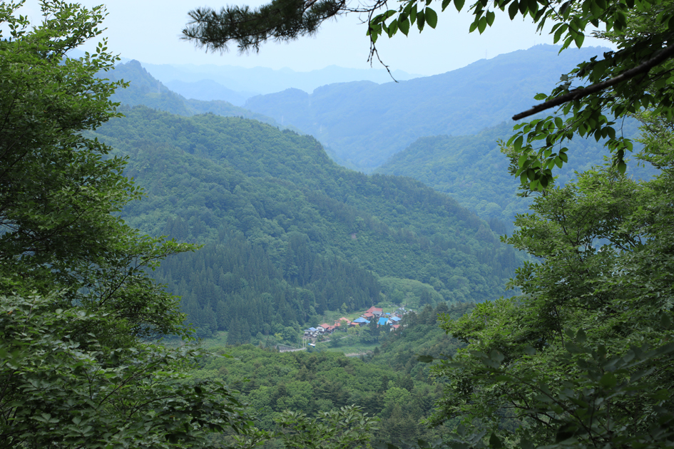 中丸城跡