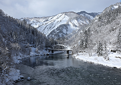 冬