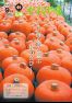 広報かねやま 令和元年9月号