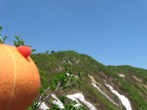登山4