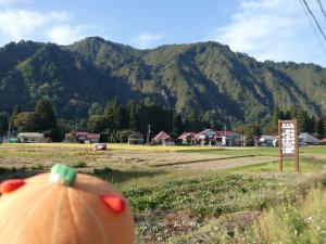 中川地区の田んぼ
