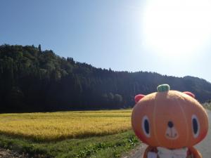 上横田地区の田んぼ