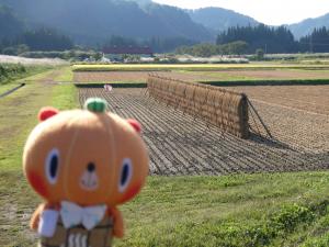 大塩地区の田んぼ