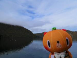かぼまる