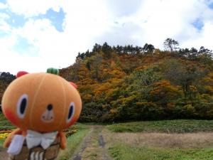 かぼまる