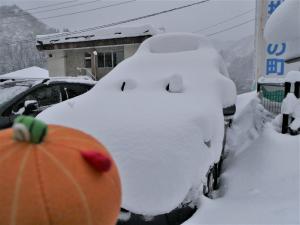 雪