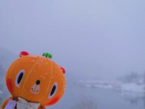 大志