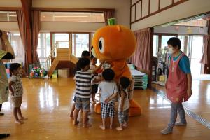 かぼまる