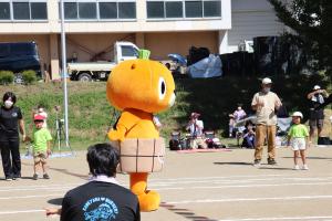 かぼまる