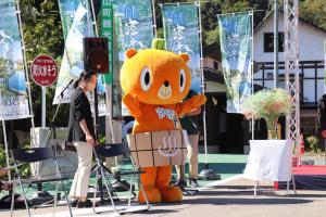 かぼまる