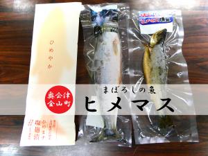 ヒメマス