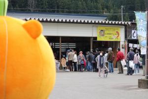 かぼまる
