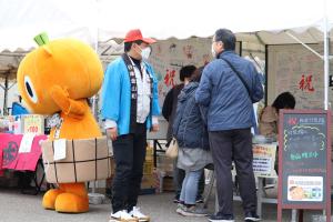かぼまる