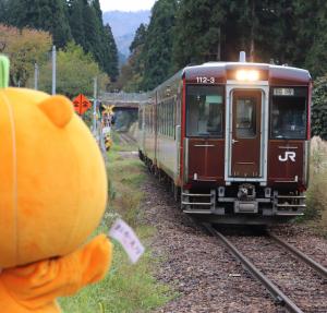 かぼまる