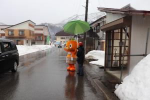 かぼまる