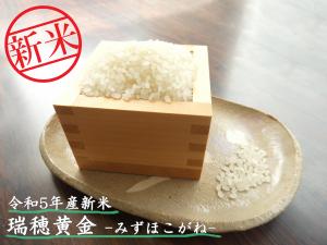 瑞穂黄金