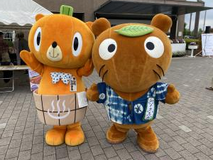 かぼまる
