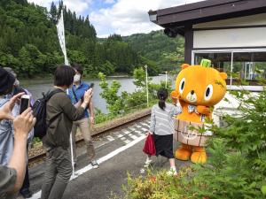 かぼまる