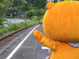 かぼまる