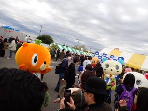 かぼまる③