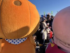 かぼまるどアップ