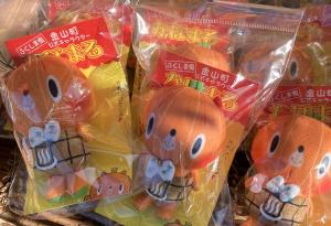 かぼまるストラップ