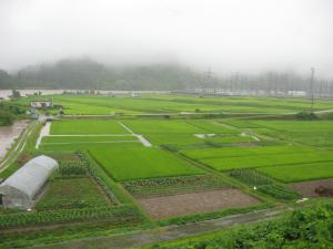 本名下原水稲被害