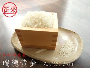 瑞穂黄金