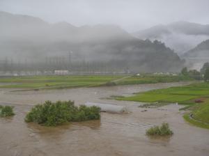 本名下原水稲被害