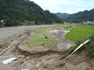 水稲被害