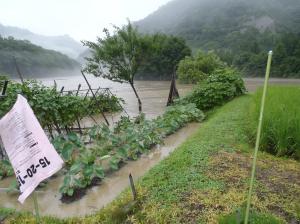畑冠水被害