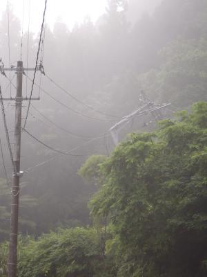 電気・電話被害