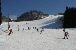 スキー場の様子です