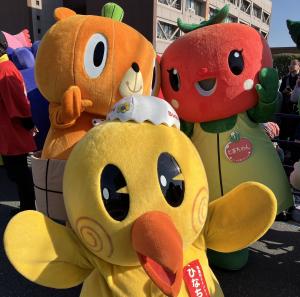 キャラさんとかぼまる