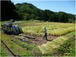 集落の農作業風景