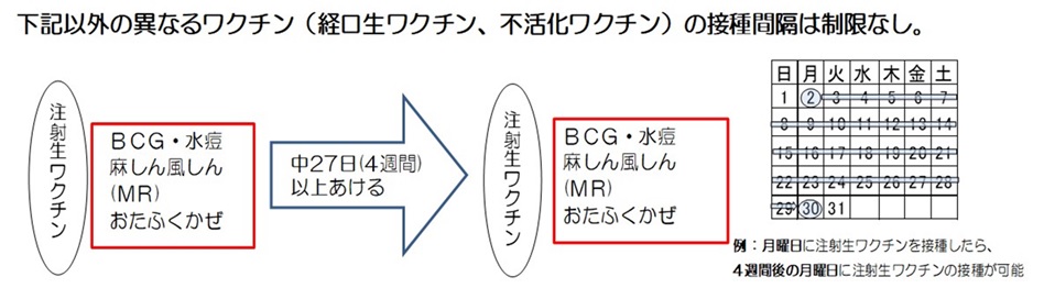 生ワクチンの接種間隔