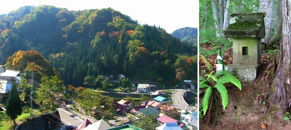 玉縄城跡(たまなわじょうあと)の写真